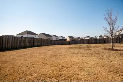 909 Teabiscuit Way, McDonough, GA 30253 - Photo 39