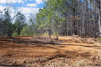 665 Tibbitts Road, Dallas, GA 30132 - Photo 33