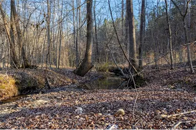 665 Tibbitts Road, Dallas, GA 30132 - Photo 37