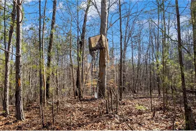 665 Tibbitts Road, Dallas, GA 30132 - Photo 13