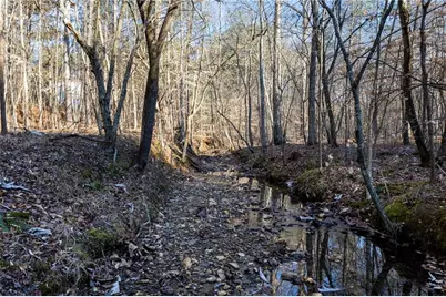 665 Tibbitts Road, Dallas, GA 30132 - Photo 9