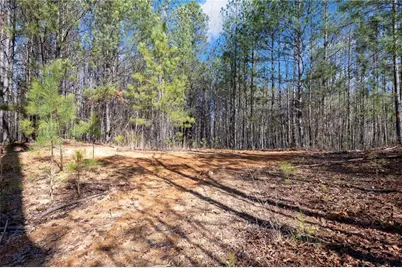 665 Tibbitts Road, Dallas, GA 30132 - Photo 35