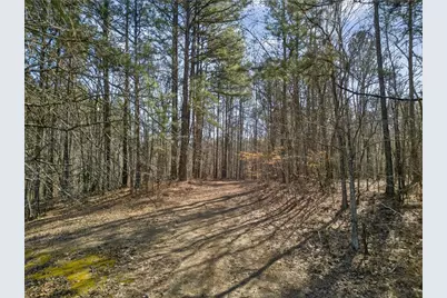 665 Tibbitts Road, Dallas, GA 30132 - Photo 31