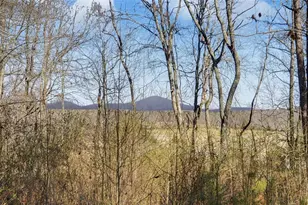 5440 Little Dr, Murrayville, GA 30564 - Photo 35