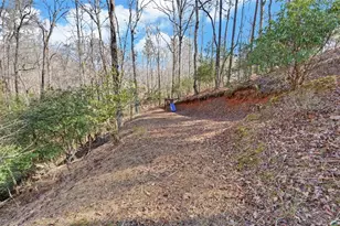 98 River Rock Dr, Dahlonega, GA 30533 - Photo 39