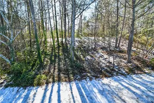 337 Mary Alice Dr, Winder, GA 30680 - Photo 57