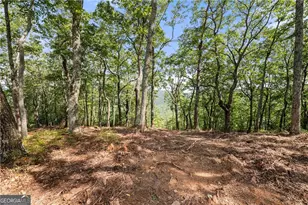 347 Highlands Dr, Clarkesville, GA 30523 - Photo 1