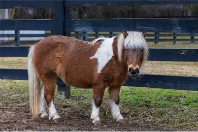 100 Hunting Valley Trail, Cumming, GA 30040 - Photo 77