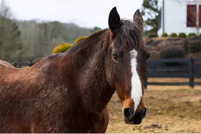 100 Hunting Valley Trail, Cumming, GA 30040 - Photo 75