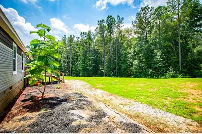 200 Duck Pond Road, Roopville, GA 30170 - Photo 13