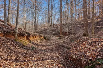 0 Winford Smith Road, Athens, GA 30607 - Photo 11