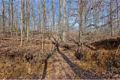 0 Winford Smith Road, Athens, GA 30607 - Photo 7