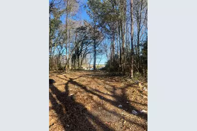 0 Old Griffin Rd, McDonough, GA 30253 - Photo 3