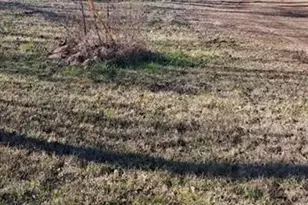 139 Dan Rhyne Rd, Leslie, GA 31764 - Photo 1