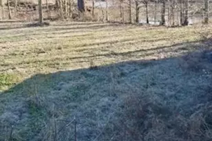 139 Dan Rhyne Rd, Leslie, GA 31764 - Photo 9