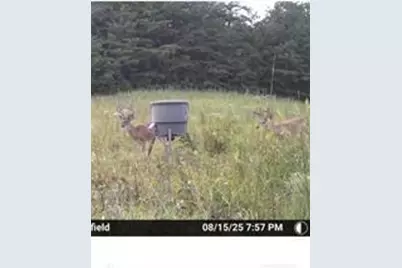 7596 Red Bud NE, Ranger, GA 30734 - Photo 27