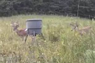 7596 Red Bud NE, Ranger, GA 30734 - Photo 27