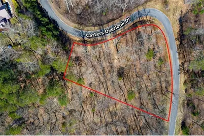 278 Carters Overlook Drive, Ranger, GA 30734 - Photo 3