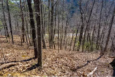 278 Carters Overlook Drive, Ranger, GA 30734 - Photo 19