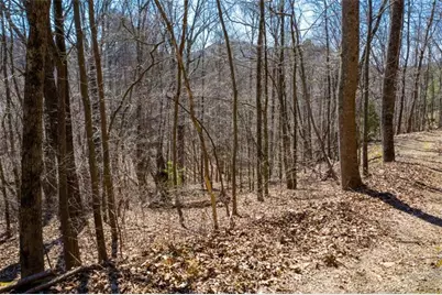 278 Carters Overlook Drive, Ranger, GA 30734 - Photo 13