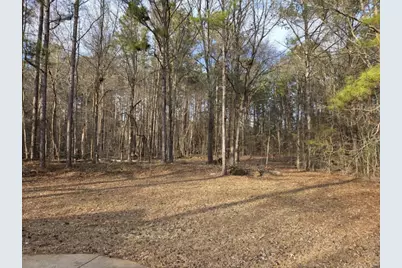 100 Willow Shoals Drive, Covington, GA 30016 - Photo 15