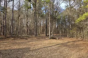 100 Willow Shoals Dr, Covington, GA 30016 - Photo 15