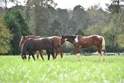 14440 Cogburn Road, Alpharetta, GA 30004 - Photo 57