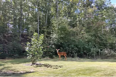 197 Evecliff Drive, Dallas, GA 30132 - Photo 37