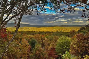 1129 Eagle Ridge Rd, Dawsonville, GA 30534 - Photo 51