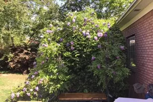 1436 Oak Grove Dr, Decatur, GA 30033 - Photo 37