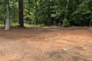531 Carlton Rd, Palmetto, GA 30268 - Photo 39