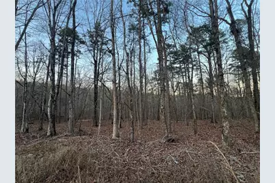 0 Ireland Drive, Rome, GA 30161 - Photo 3