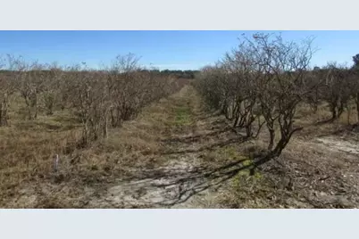 1019 D H Alderman Road, Moultrie, GA 31788 - Photo 19