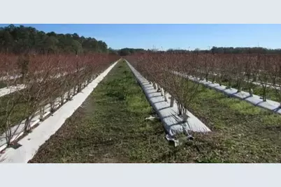 1019 D H Alderman Road, Moultrie, GA 31788 - Photo 15