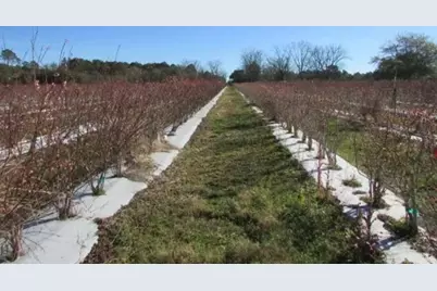 1019 D H Alderman Road, Moultrie, GA 31788 - Photo 17