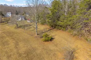 91 Almetie Dr, Toccoa, GA 30577 - Photo 53