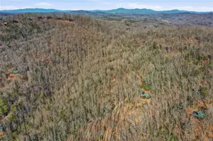 266 Chimney Rock Rd, Cherrylog, GA 30522 - Photo 43