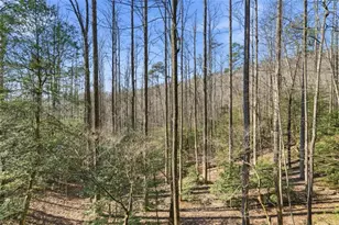 266 Chimney Rock Rd, Cherrylog, GA 30522 - Photo 37