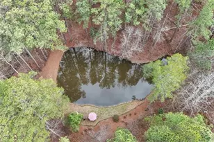 455 M Sanders Rd, Buchanan, GA 30113 - Photo 61