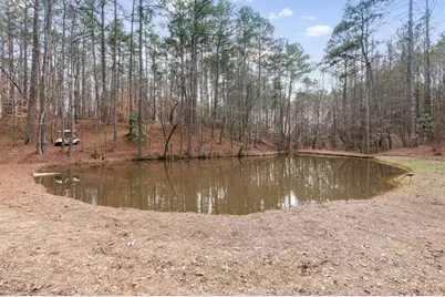 455 M Sanders Road, Buchanan, GA 30113 - Photo 53