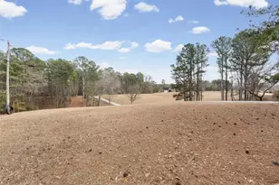 455 M Sanders Rd, Buchanan, GA 30113 - Photo 57