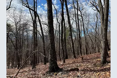 4528 Sassafras Mountain Trail, Jasper, GA 30143 - Photo 9