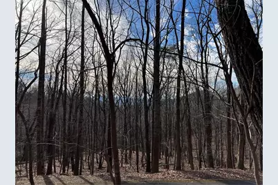 4528 Sassafras Mountain Trail, Jasper, GA 30143 - Photo 5