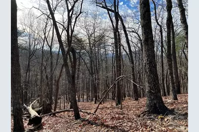 4528 Sassafras Mountain Trail, Jasper, GA 30143 - Photo 7