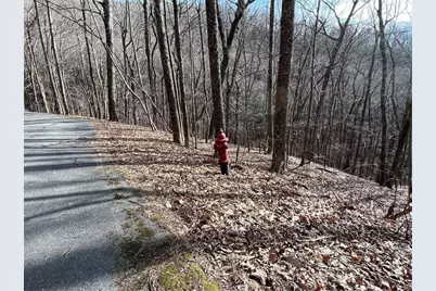 4528 Sassafras Mountain Trail, Jasper, GA 30143 - Photo 11