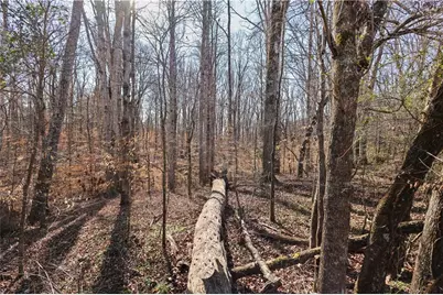 0 Winford Smith Road, Athens, GA 30607 - Photo 5