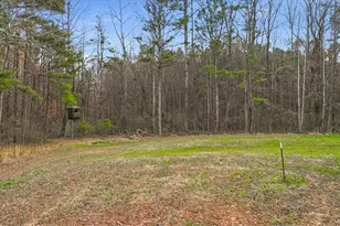 145 Moores Ferry Dr SW, Plainville, GA 30733 - Photo 65