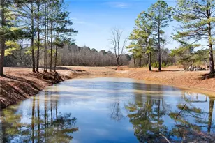 145 Moores Ferry Dr SW, Plainville, GA 30733 - Photo 59