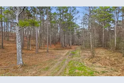 145 Moores Ferry Drive SW, Plainville, GA 30733 - Photo 69