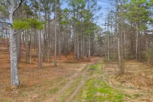 145 Moores Ferry Dr SW, Plainville, GA 30733 - Photo 69